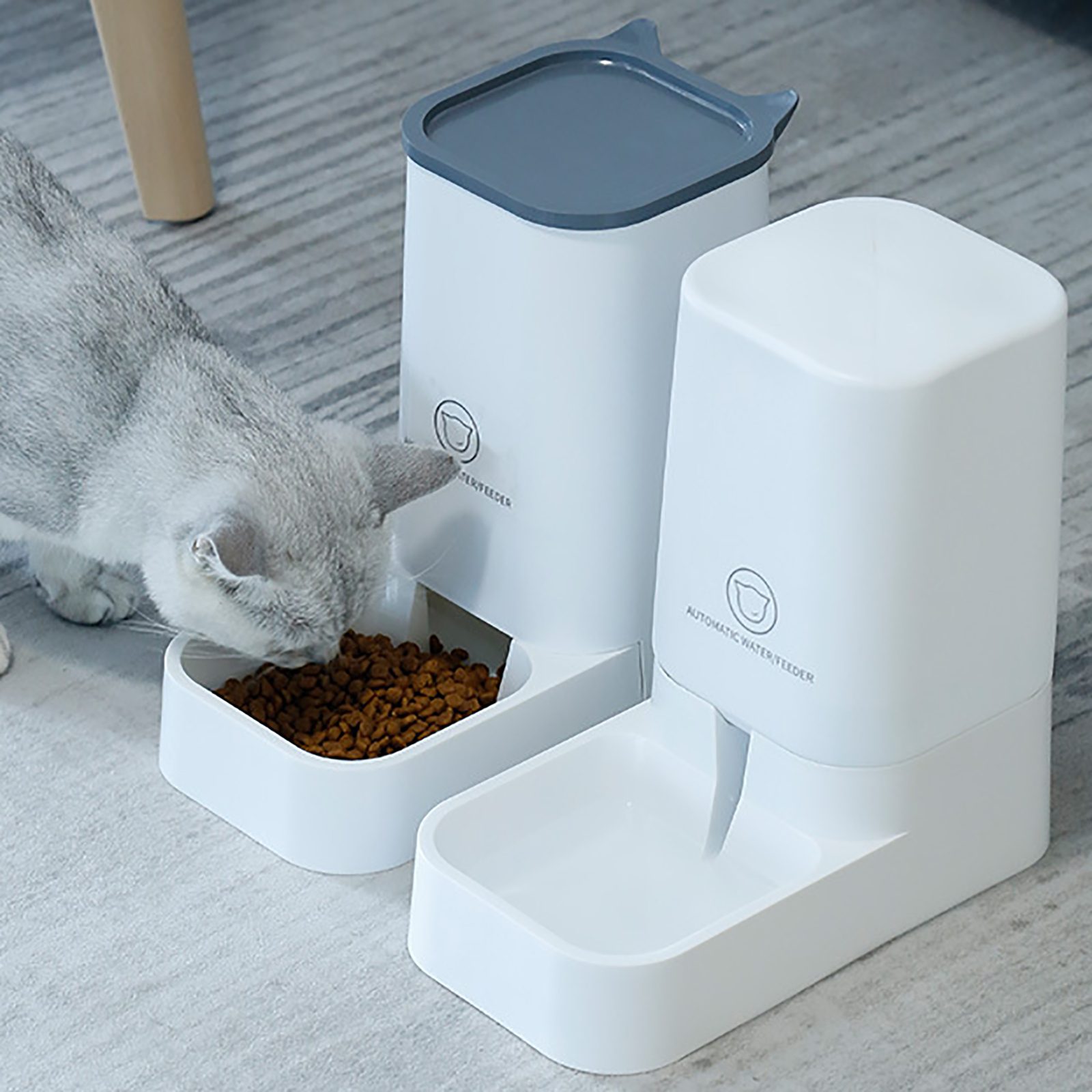 Automatic Pet Feeder real use with a cat eating