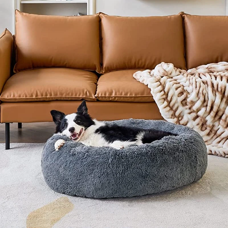 dog happy with this fluffy bed
